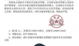 缅北最新爆料消息今天视频,揭秘神秘势力动态