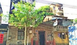 惠州水东街最新爆料,历史文化街区焕发新活力