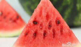 吃瓜微信推荐免费下载,吃瓜微信推荐免费下载，带你轻松获取热门资源！